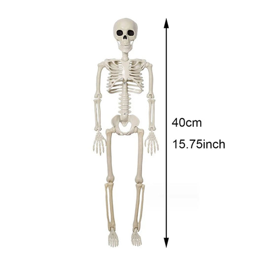 Posable Halloween Skeleton 40cm - Perfect for Haunted House Decor and Spooky Parties!